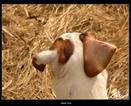 DSCN3421_2483b